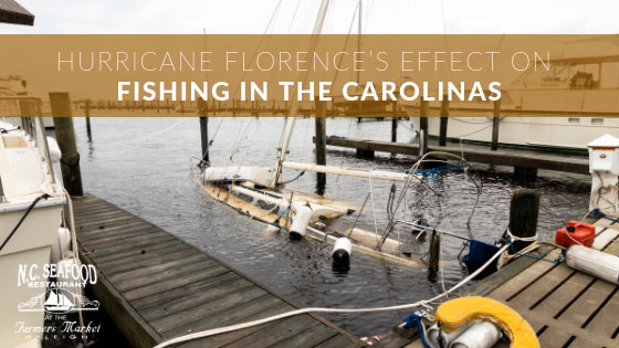 Hurricane Florence_fishing_NCseafood