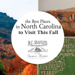 Best Place to visit in NC banner