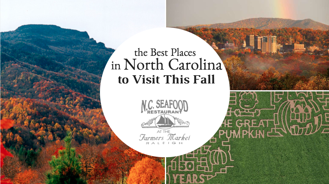 Best Places to Visit in North Carolina Things To Do