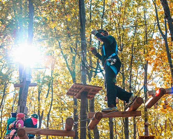 TreeRunner Adventure Park NC Seafood