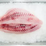 Raw fish filets on ice. Image accompanies the blog titled "Is Fish Meat?" and answers "is fish meat or not" and is seafood considered meat?