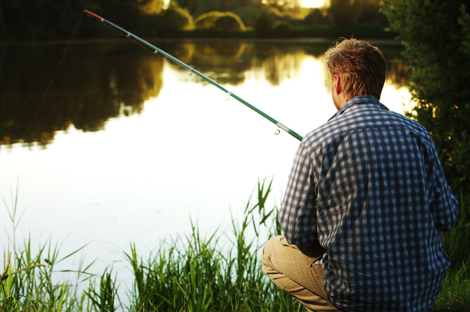7 Good Fishing Spots Near Me in Raleigh, NC Local Fishing