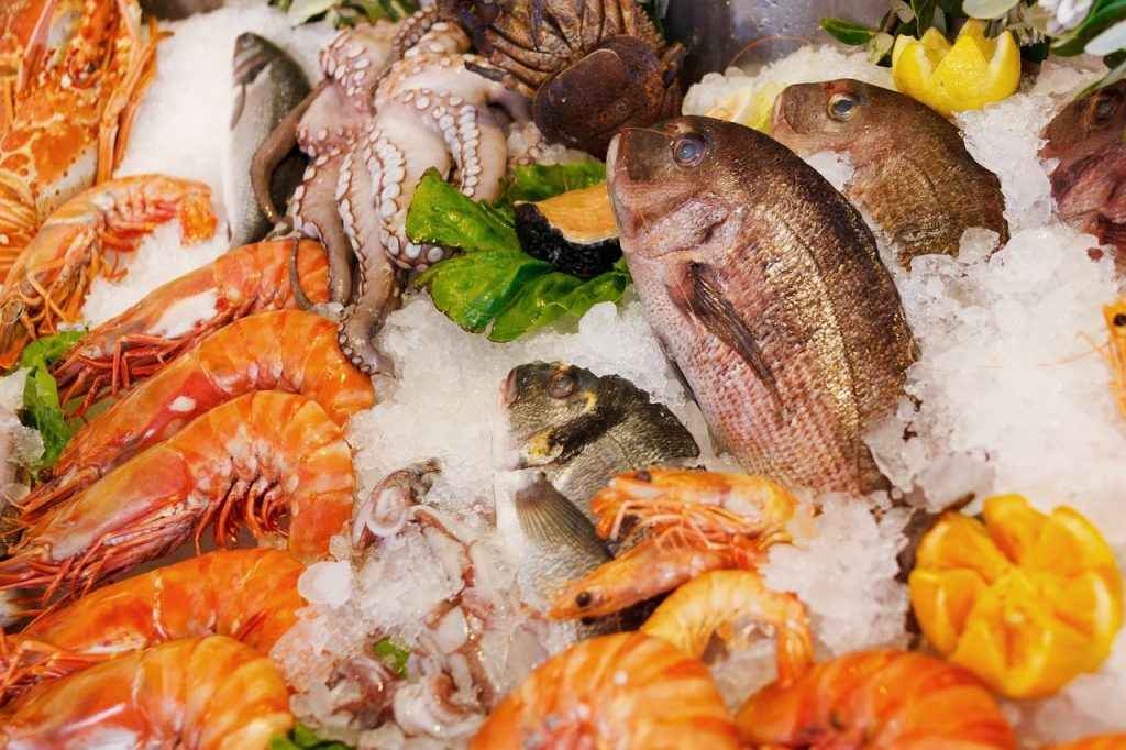 Should You Consume a Diet Rich in Fish?
