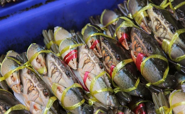 sustainable crab seafood options
