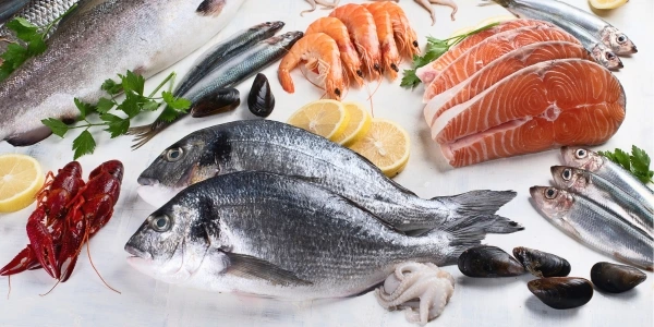 Types of seafood, such as fresh fish and shrimp, are pictured on a white background.