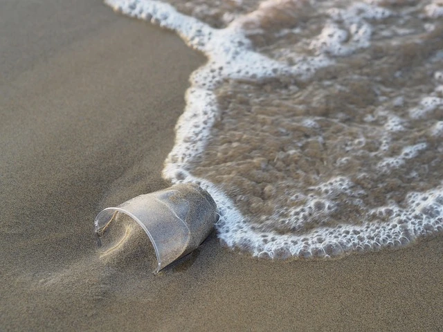 plastic in ocean causing issues for fish habitats